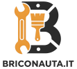 Briconauta