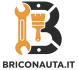 Briconauta
